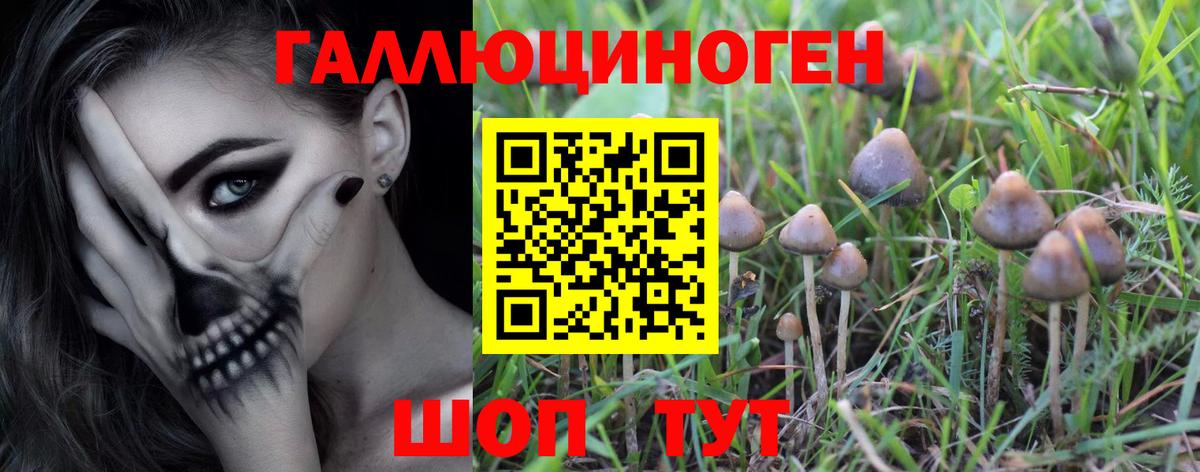 Прокопьевск  Псилоцибиновые грибы Psilocybe  Псилоцибиновые грибы Psilocybine cubensis  Вход с VPN 